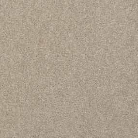 Driftwood Swatch