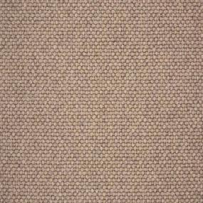 Gobi Berber