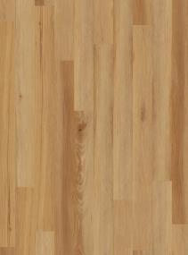 Natural Beauty 4 - Au Naturel - Ash Swatch