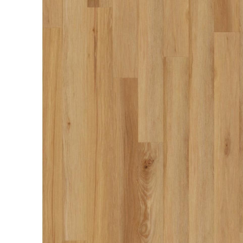 Ash Zoomed Swatch
