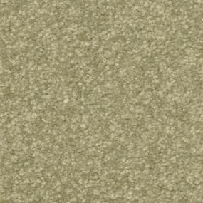 Clove Zoomed Swatch