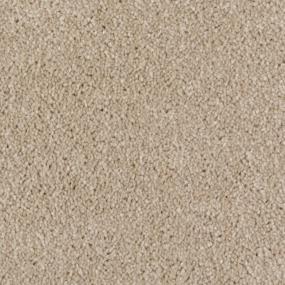 Algonquin Trail Zoomed Swatch