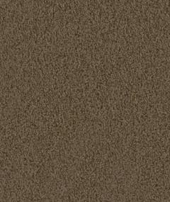 Cce 125 - Taupe Swatch