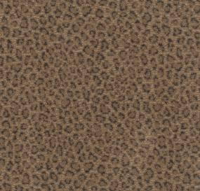 Exotic Touch - African Plain Swatch