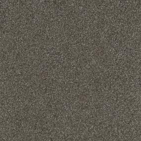 Destination Zoomed Swatch