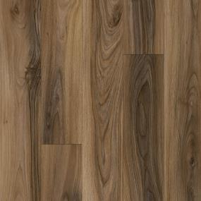 Sienna Swatch
