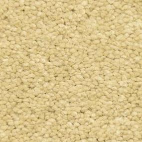 Desierto Zoomed Swatch