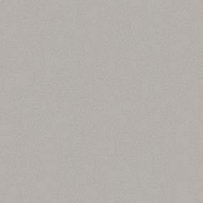 Platinum Swatch Thumbnail