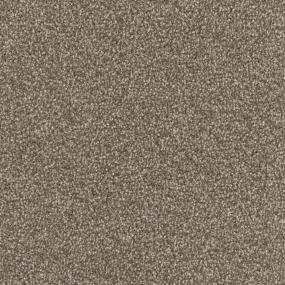 Pinscher Swatch Thumbnail