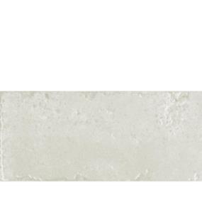 Blanco Zoomed Swatch