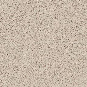 Pebble Zoomed Swatch