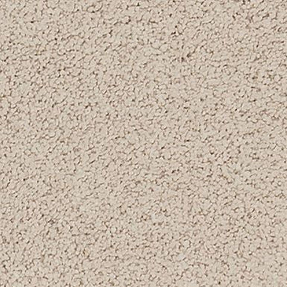 Pebble Zoomed Swatch