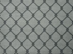 Lake Boden - Platinum Swatch