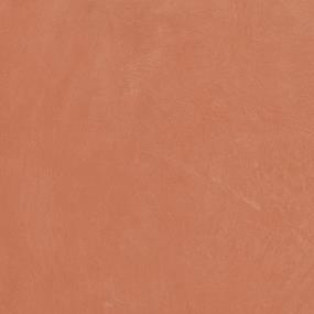 Coral Swatch Thumbnail