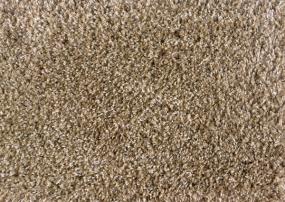 Shaggy Plush - Sand Swatch