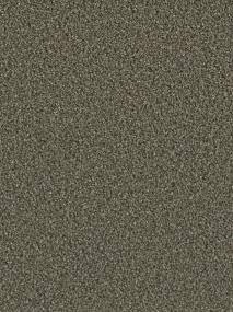 Peppercorn Swatch Thumbnail