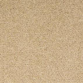 The Gold Swatch Thumbnail
