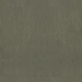 Bonsai Swatch Thumbnail