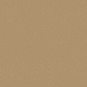 Modern Sophistication - Honey Butter Swatch
