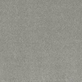 Dream Forest II - Treasured Swatch