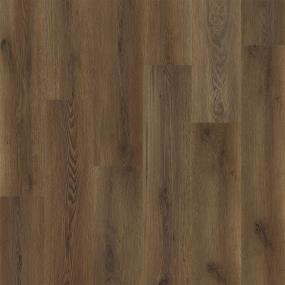 Elevate - Grand Oak Swatch