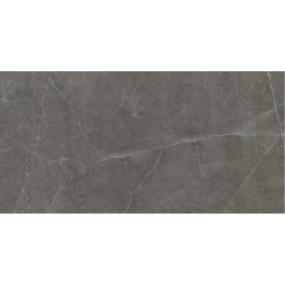 Sterlina II Matte 12X24 - Asphalt Swatch