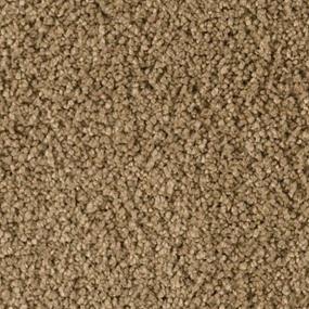 Peyote Zoomed Swatch