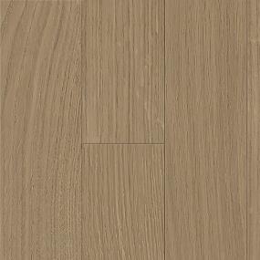 Chamois Zoomed Swatch