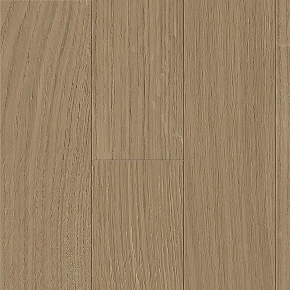 Chamois Zoomed Swatch