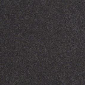 Argus II 12' - Midnight Shade Swatch