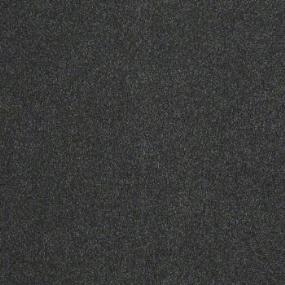 Argus II 12' - Fantasy Swatch