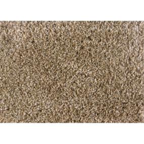 Shaggy Plush - Sand Swatch