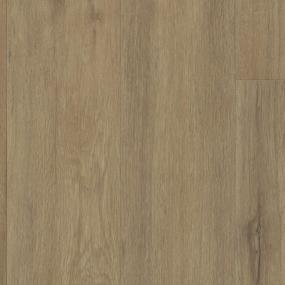 Desert Dust Zoomed Swatch