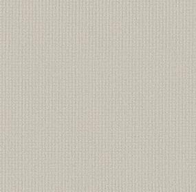Aerial Arts - Cotton Swatch