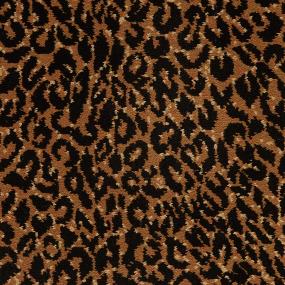Leopard Series - Jaguar Swatch