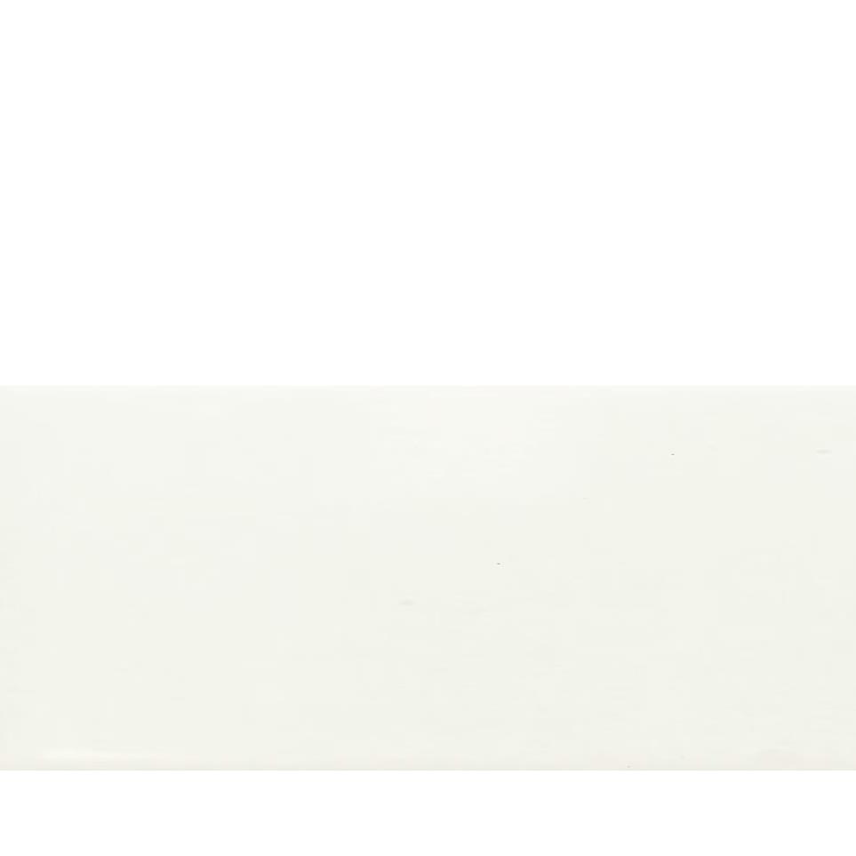 White Matte Zoomed Swatch