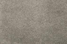 Henry - Silver Swatch