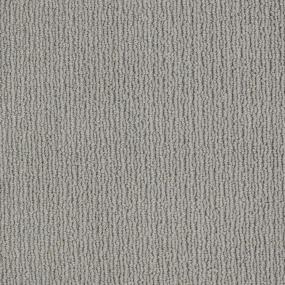 Titanium Zoomed Swatch