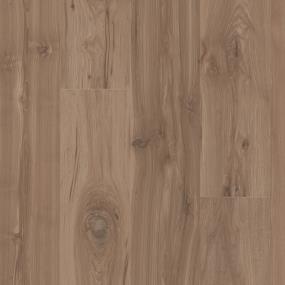 Albany Grove - Southern Pecan Swatch
