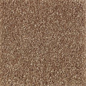 Natural Refinement II - Cat-Tail Swatch