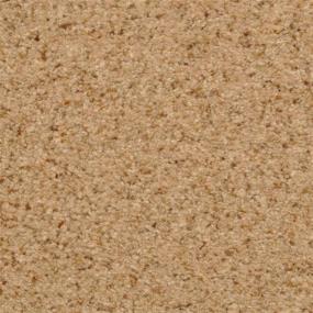 Chromatic Touch - Tempura Swatch