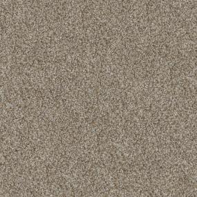 Pony Tail Zoomed Swatch