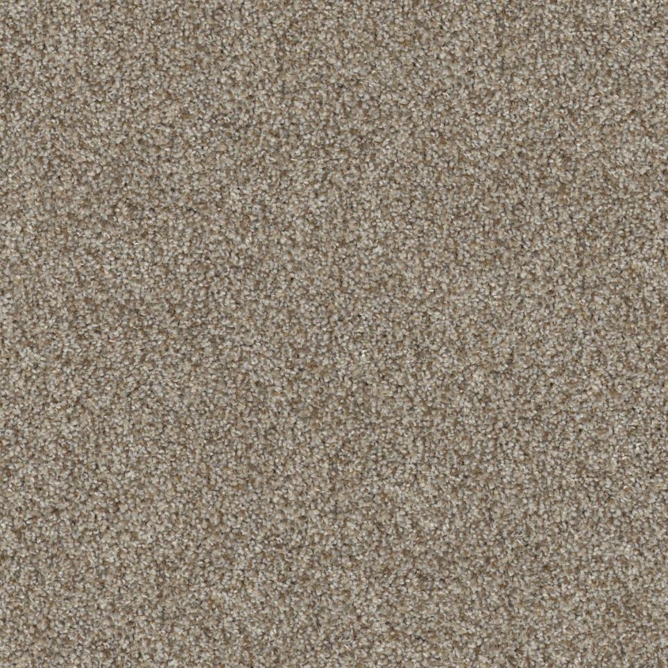 Pony Tail Zoomed Swatch