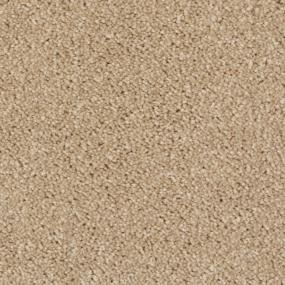Tortillas Swatch Thumbnail