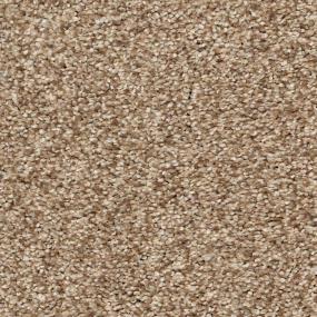 Safari Zoomed Swatch