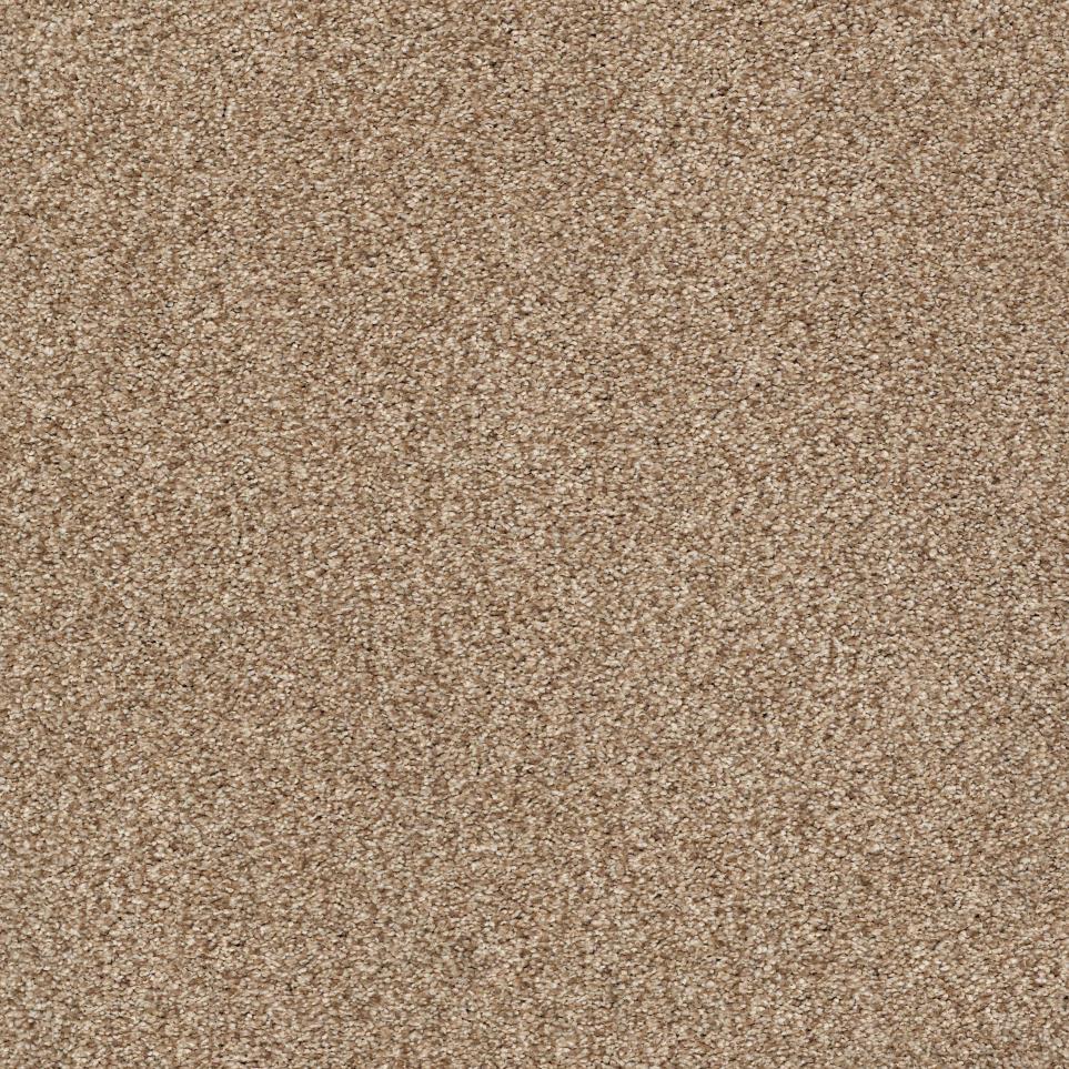 Safari Swatch
