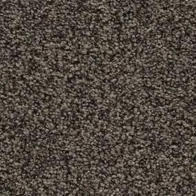 Iron Gate Swatch Thumbnail