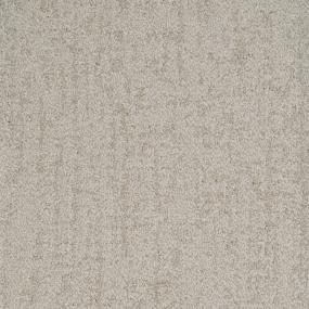 County Cork - Fossil Swatch