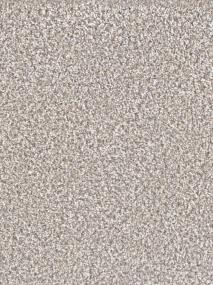 Windy City III - Seashells Swatch