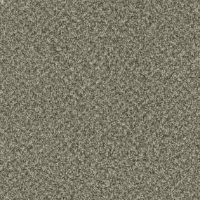 Olivewood Zoomed Swatch